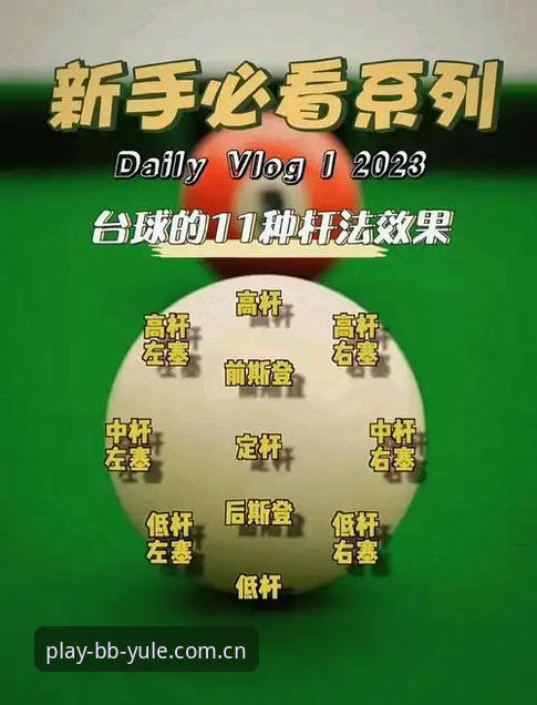 BB娱乐体育玩家 BB娱乐体育玩家进阶指南:从新手到高手的使用手册